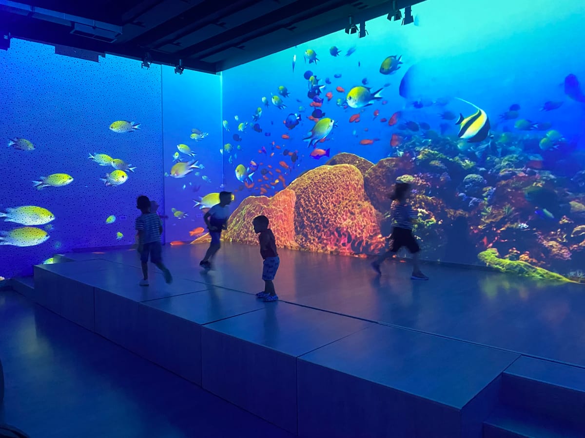 Foster Care Milestones and Setbacks